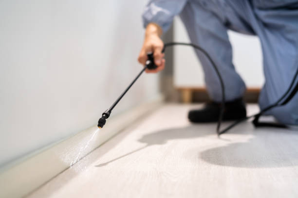 Licensed Rodent Control service in Seneca County County, OH - Nex Pest Control